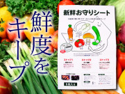 新鮮お守りシート